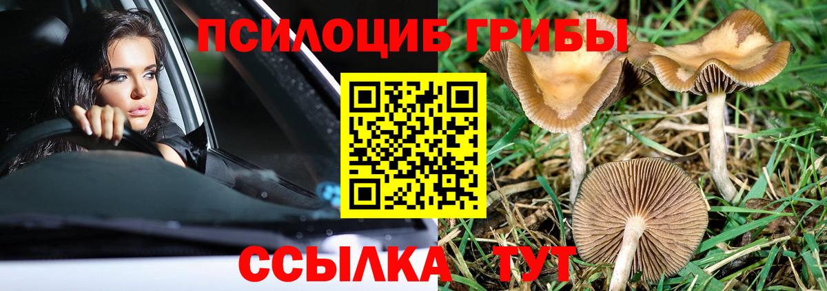 Балаково  Галлюциногенные грибы GOLDEN TEACHER  Вход с VPN 