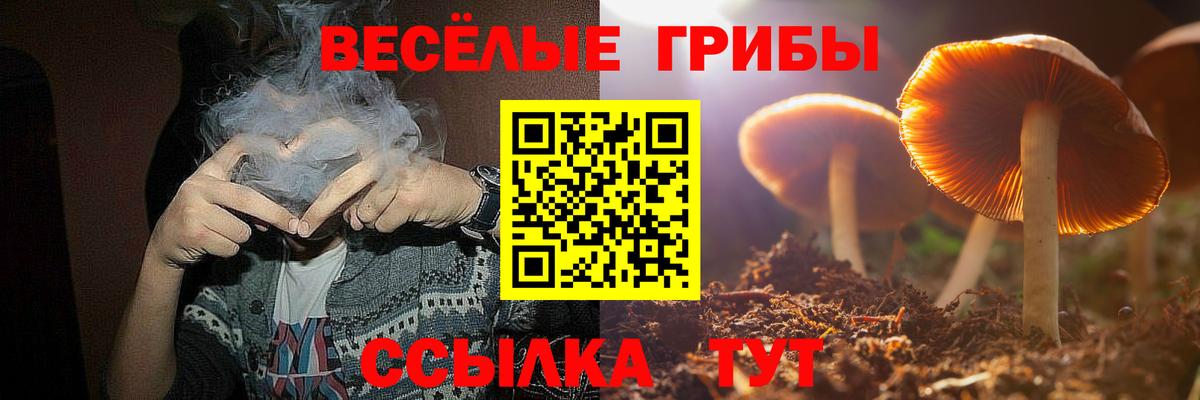 Псилоцибиновые грибы Cubensis Балаково